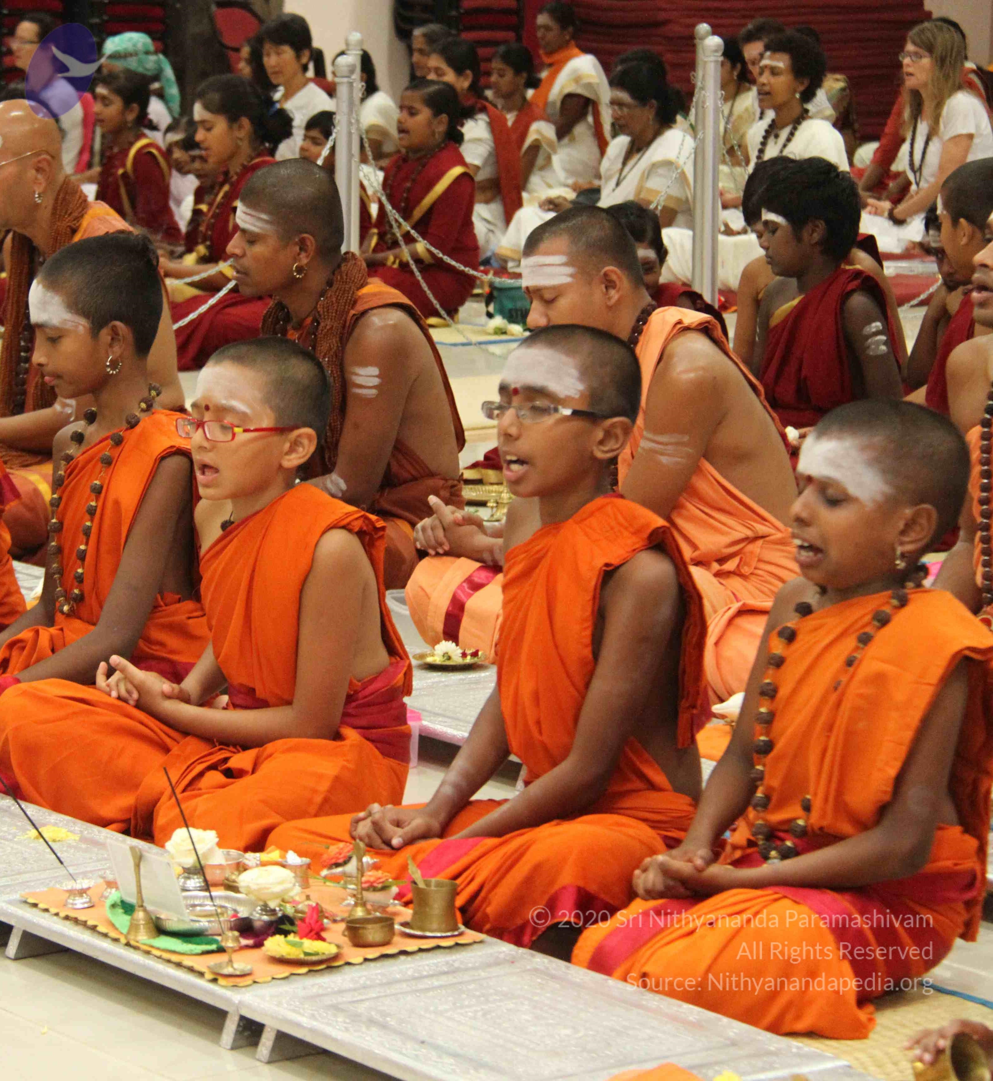 IMG_8924_CMP_WM done